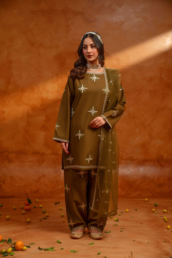 3 Piece - Slub Khaddar Embroidered Dress